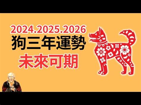 1982 屬狗|生肖狗: 性格，愛情，2024運勢，生肖1994，2006，2018